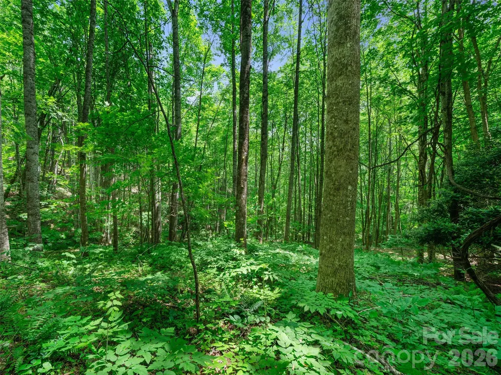 0 Lotties Creek Road Burnsville NC 28714