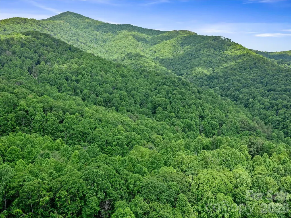 0 Lotties Creek Road Burnsville NC 28714