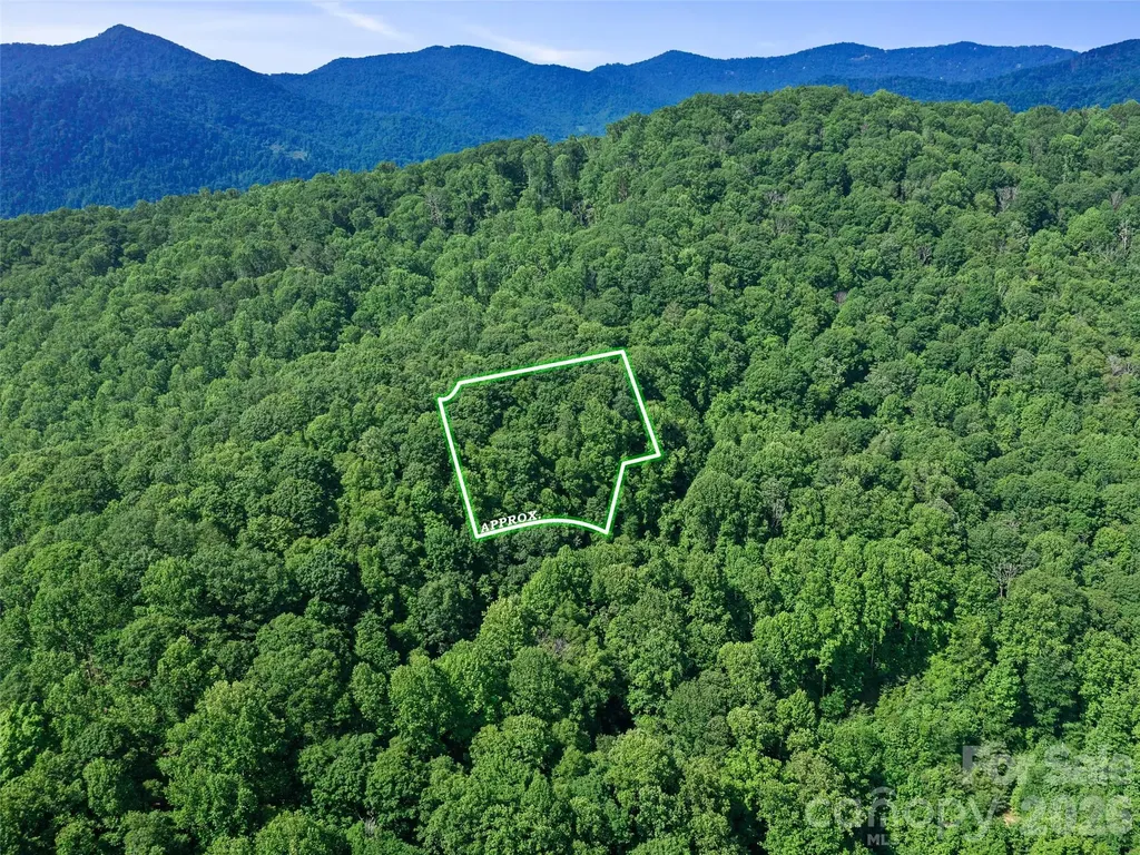 0 Lotties Creek Road Burnsville NC 28714