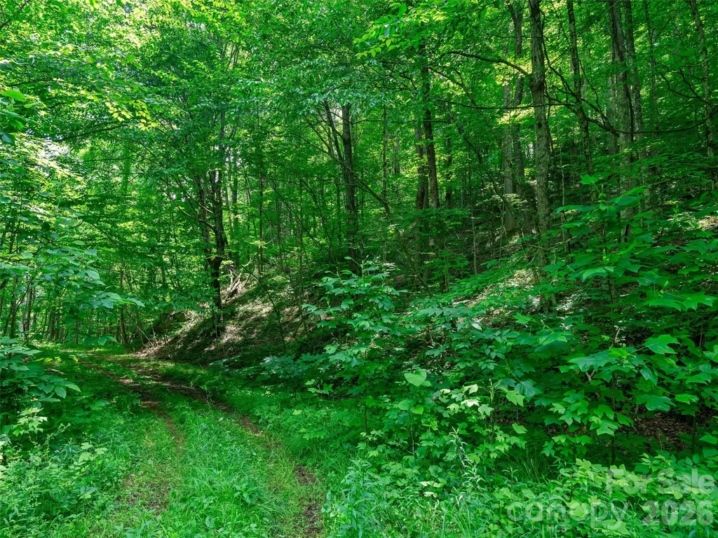 0 Lotties Creek Road Burnsville NC 28714