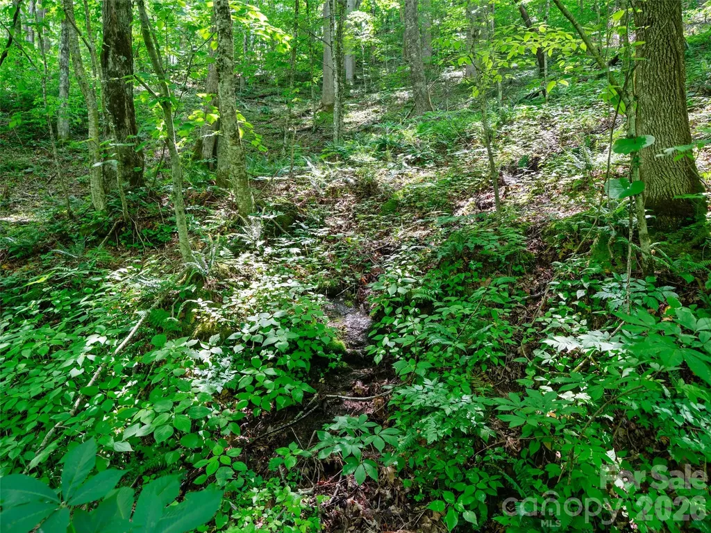 0 Lotties Creek Road Burnsville NC 28714