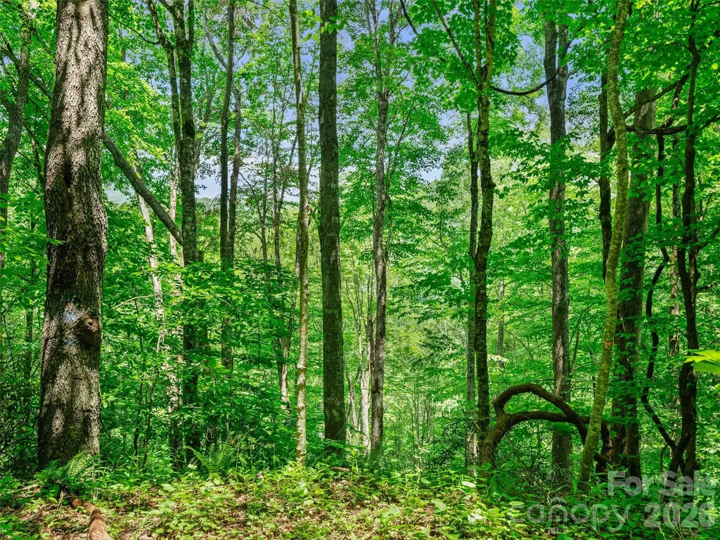 0 Lotties Creek Road Burnsville NC 28714