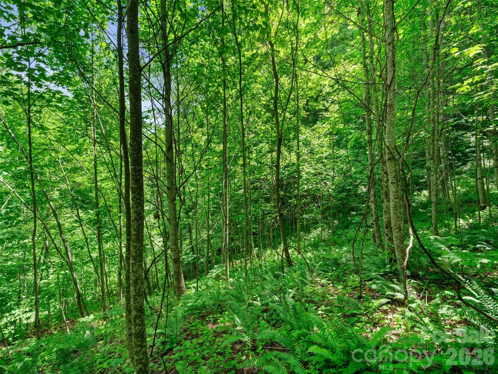 0 Lotties Creek Road Burnsville NC 28714
