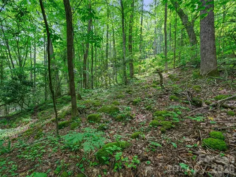 0 Lotties Creek Road Burnsville NC 28714