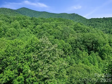 0 Lotties Creek Road Burnsville NC 28714