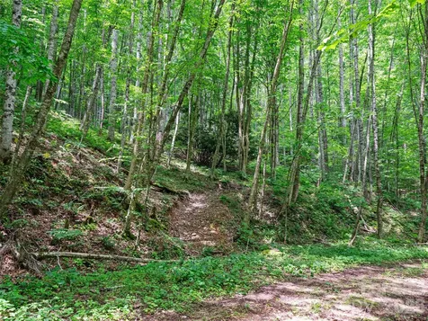 0 Lotties Creek Road Burnsville NC 28714