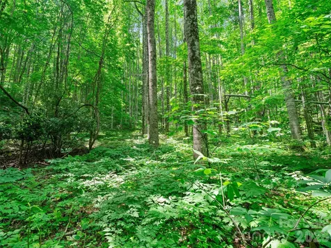 0 Lotties Creek Road Burnsville NC 28714