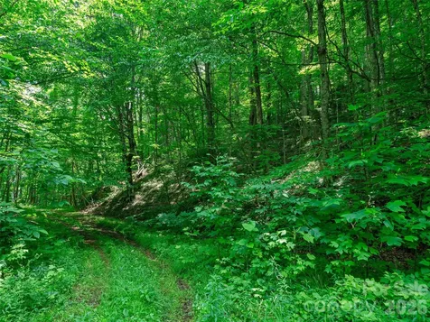 0 Lotties Creek Road Burnsville NC 28714