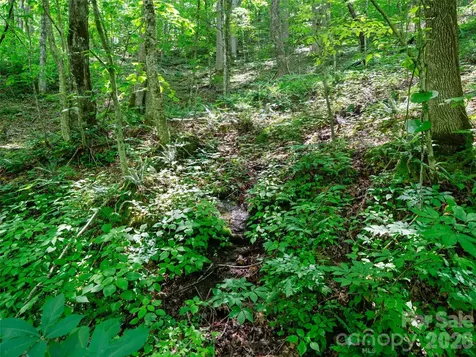 0 Lotties Creek Road Burnsville NC 28714