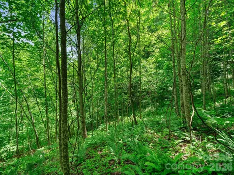 0 Lotties Creek Road Burnsville NC 28714