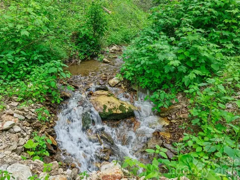 0 Lotties Creek Road Burnsville NC 28714