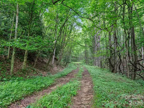 0 Lotties Creek Road Burnsville NC 28714