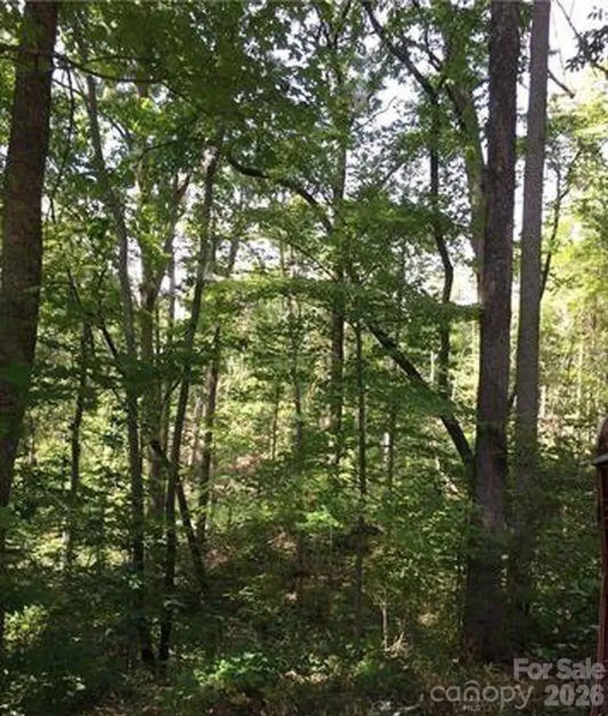 Lot 25 Bluebird Terrace Lake Lure NC 28746