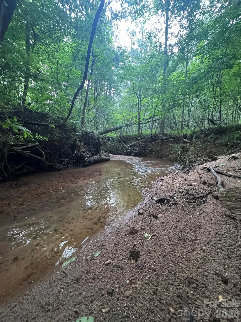 0 Clearwater Parkway Rutherfordton NC 28139