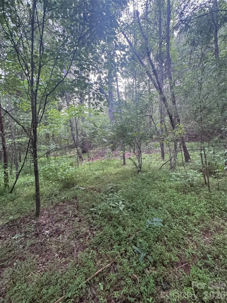 0 Clearwater Parkway Rutherfordton NC 28139