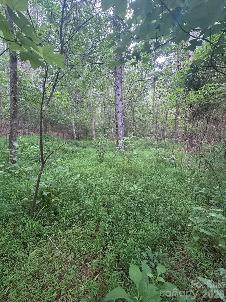 0 Clearwater Parkway Rutherfordton NC 28139