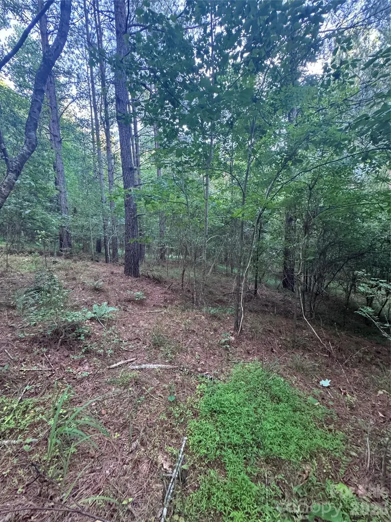 0 Clearwater Parkway Rutherfordton NC 28139