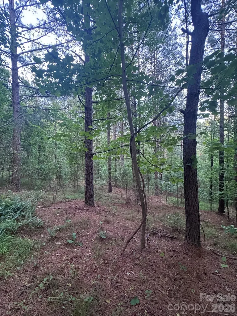 0 Clearwater Parkway Rutherfordton NC 28139