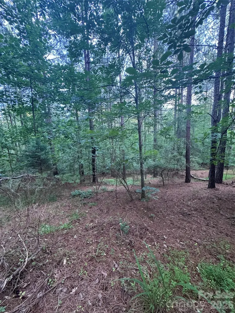 0 Clearwater Parkway Rutherfordton NC 28139