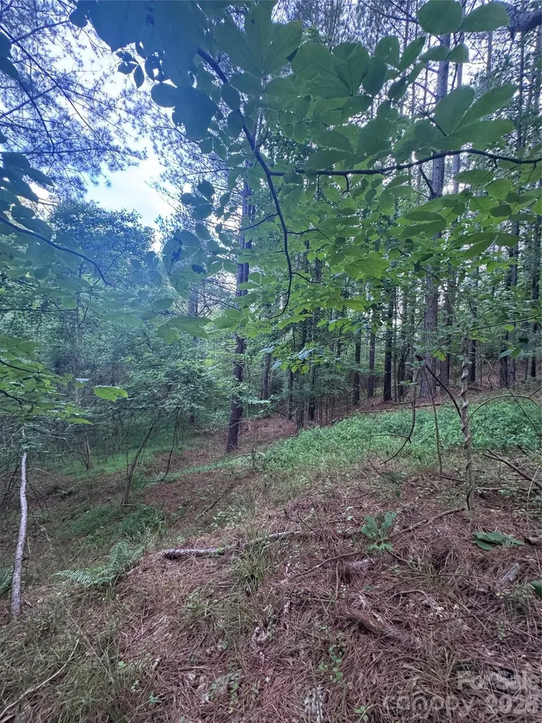 0 Clearwater Parkway Rutherfordton NC 28139