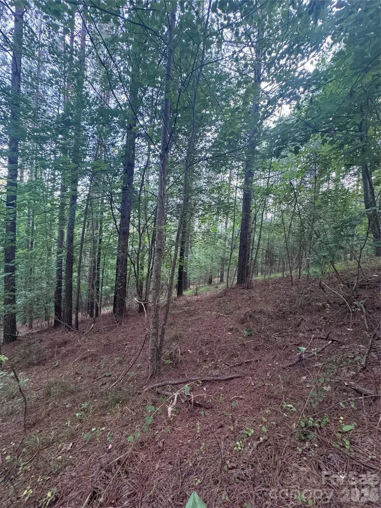 0 Clearwater Parkway Rutherfordton NC 28139