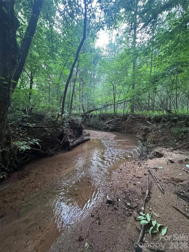 0 Clearwater Parkway Rutherfordton NC 28139