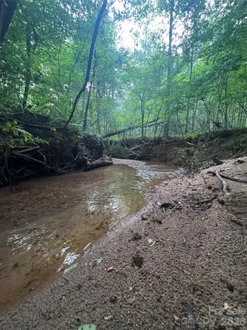 0 Clearwater Parkway Rutherfordton NC 28139
