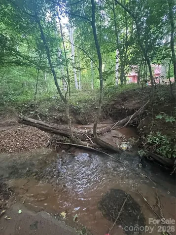 0 Clearwater Parkway Rutherfordton NC 28139