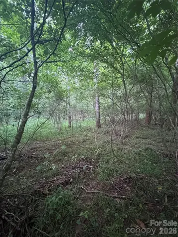 0 Clearwater Parkway Rutherfordton NC 28139