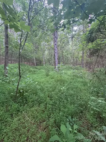 0 Clearwater Parkway Rutherfordton NC 28139