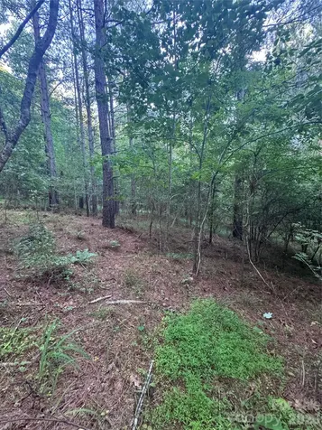 0 Clearwater Parkway Rutherfordton NC 28139