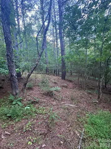 0 Clearwater Parkway Rutherfordton NC 28139