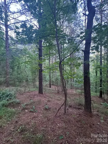 0 Clearwater Parkway Rutherfordton NC 28139