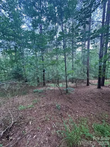 0 Clearwater Parkway Rutherfordton NC 28139
