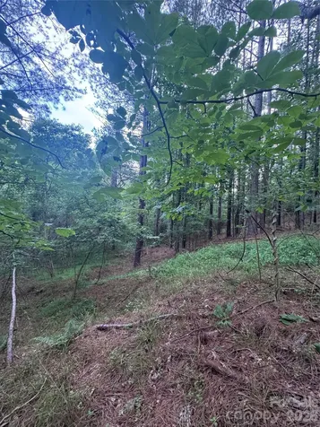 0 Clearwater Parkway Rutherfordton NC 28139