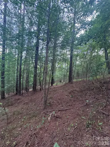 0 Clearwater Parkway Rutherfordton NC 28139