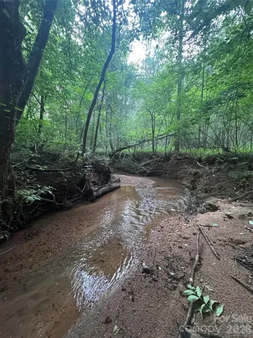 0 Clearwater Parkway Rutherfordton NC 28139
