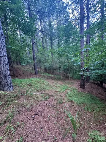 0 Clearwater Parkway Rutherfordton NC 28139