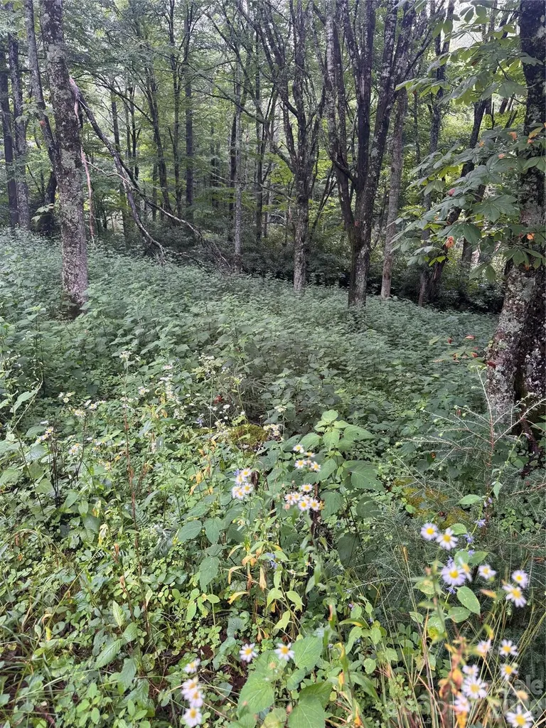 Tbd Sugar Mountain 2 Road Newland NC 28657