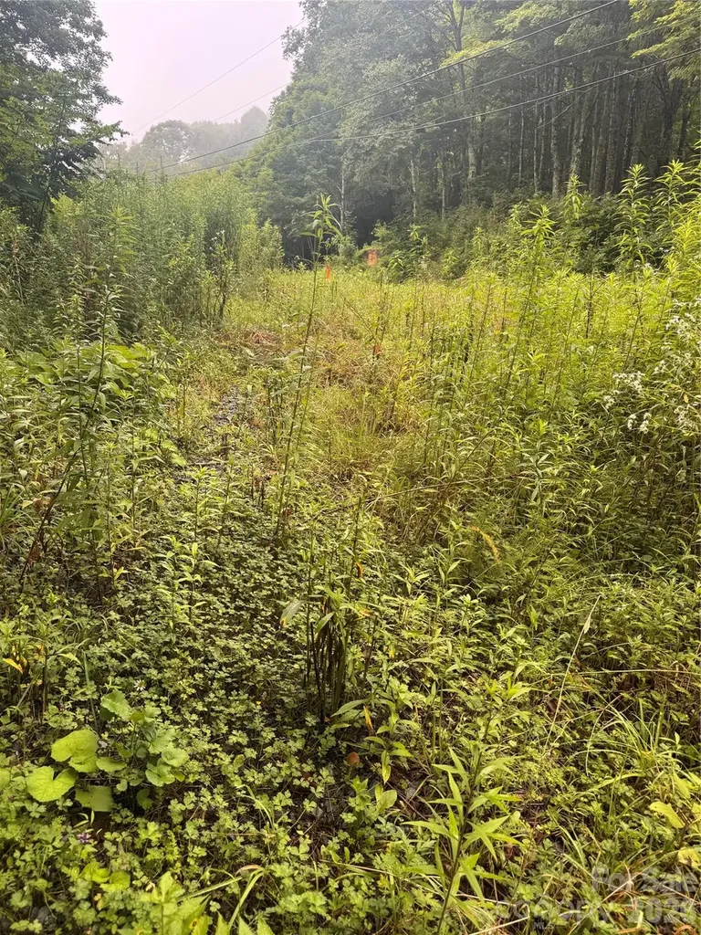 Tbd Sugar Mountain 2 Road Newland NC 28657