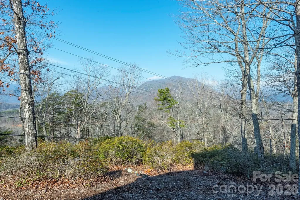 192 Buzzards Place Lake Lure NC 28746