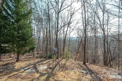 192 Buzzards Place Lake Lure NC 28746