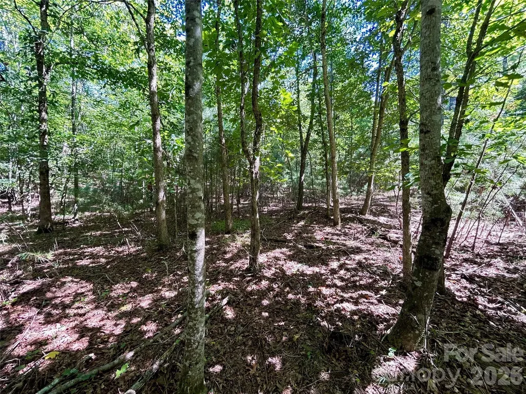 1036 W Paradise Harbor Drive Connelly Springs NC 28612