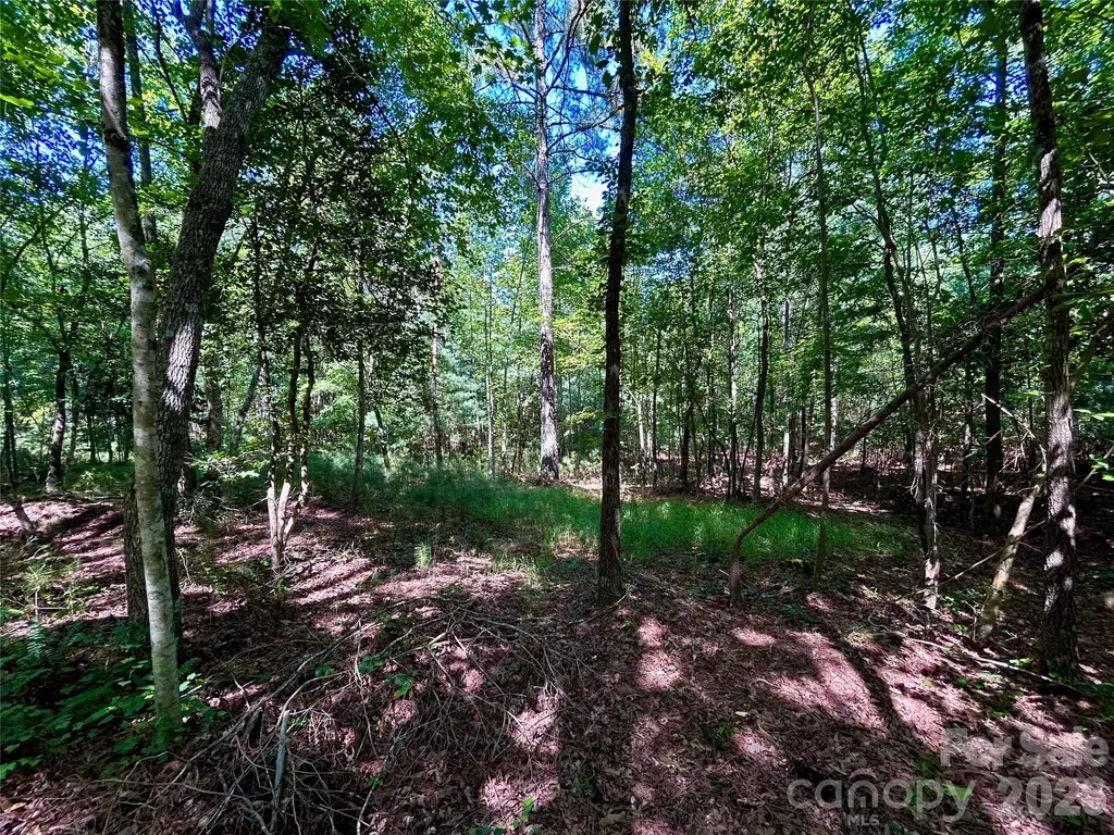 1036 W Paradise Harbor Drive Connelly Springs NC 28612