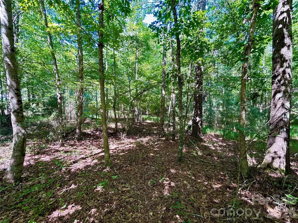 1036 W Paradise Harbor Drive Connelly Springs NC 28612