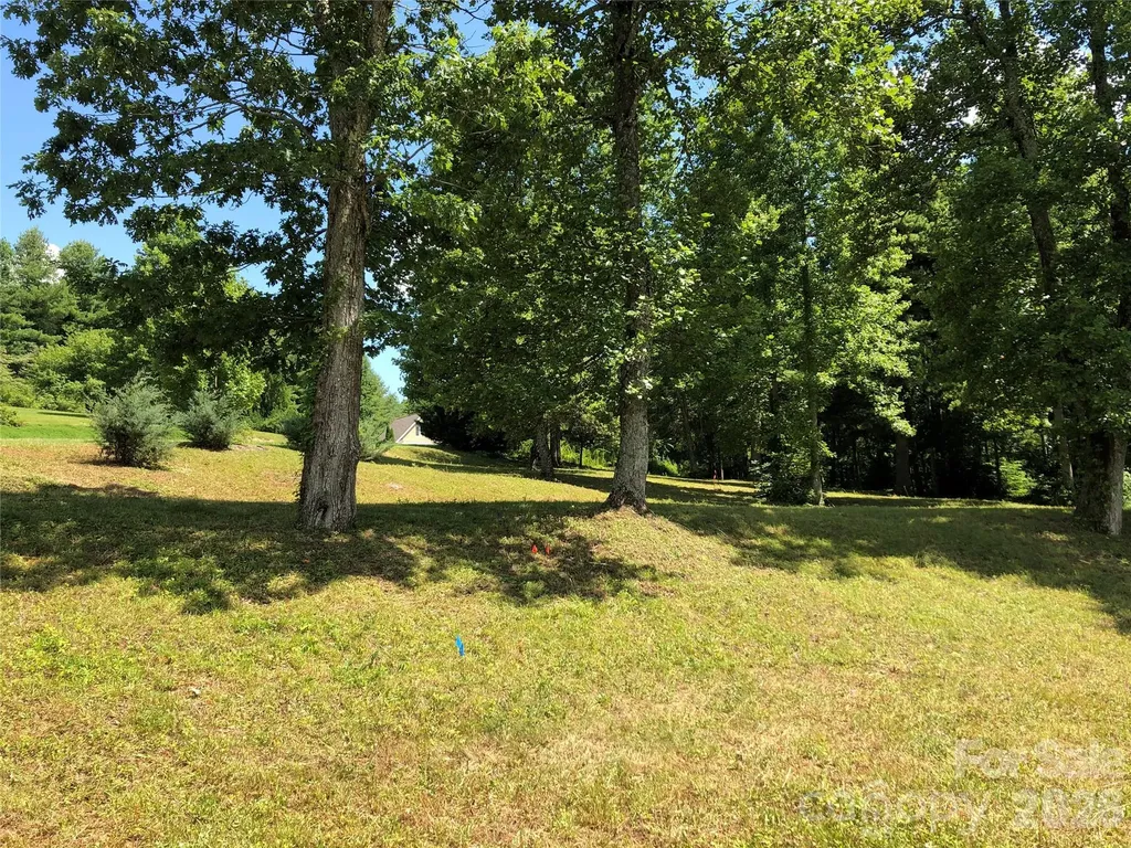 4 Ambrose Court Flat Rock NC 28731
