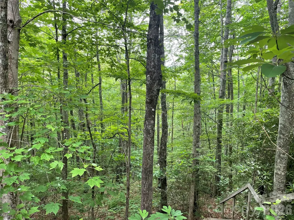 Lt 279 Cabin Flats Road Balsam NC 28707