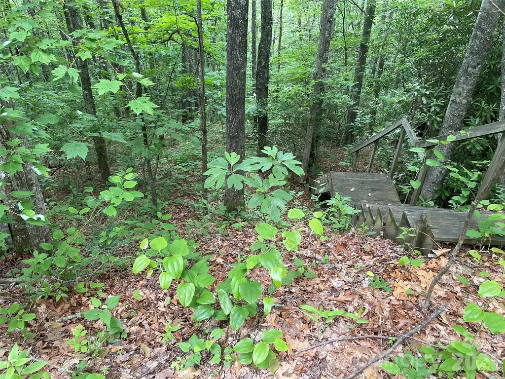 Lt 279 Cabin Flats Road Balsam NC 28707
