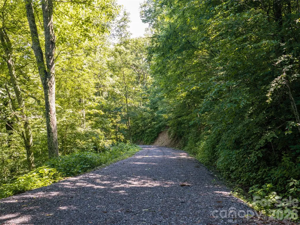 #E16 Adela Trail Maggie Valley NC 28751