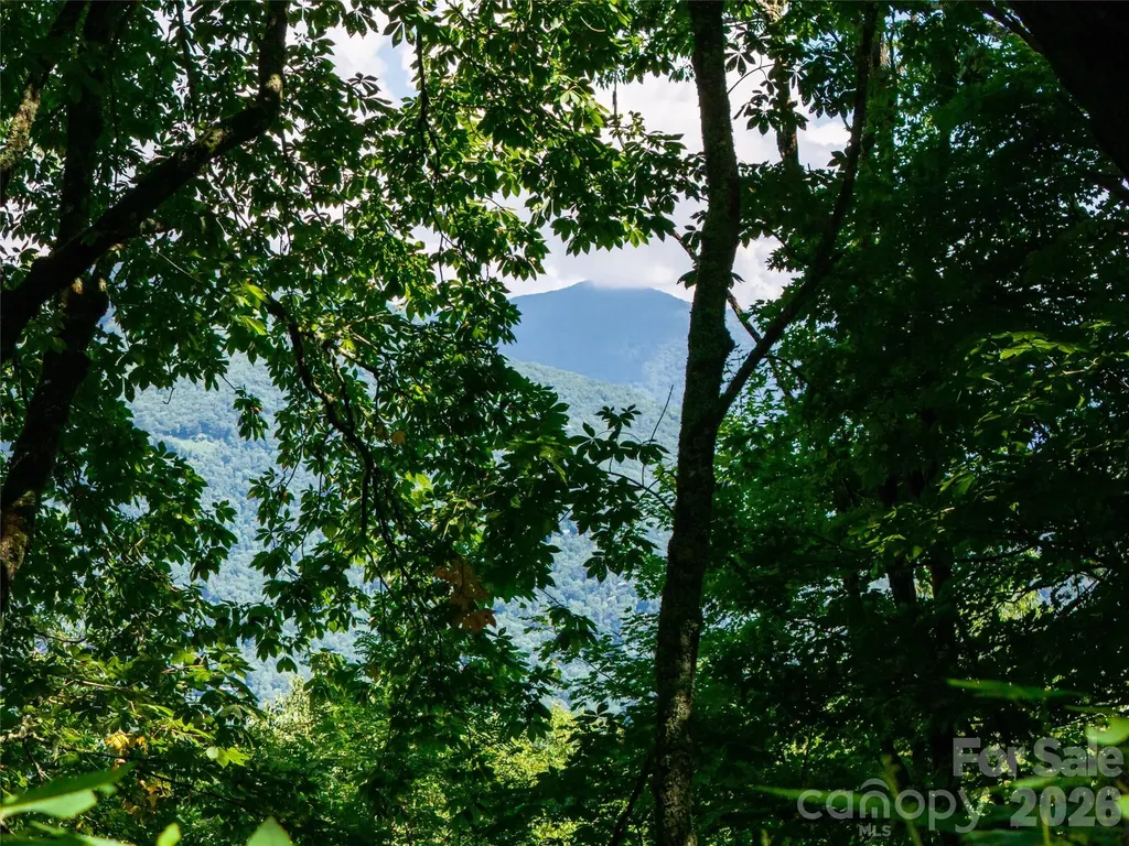 #E16 Adela Trail Maggie Valley NC 28751